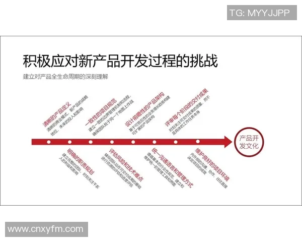 赛后复盘：解析北京排球队与上海排球队的团队协作与战术配合