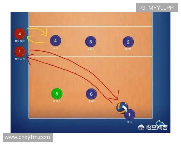 重庆排球队的节奏解析与发展趋势探讨 重庆排球队的节奏解析与发展趋势探讨