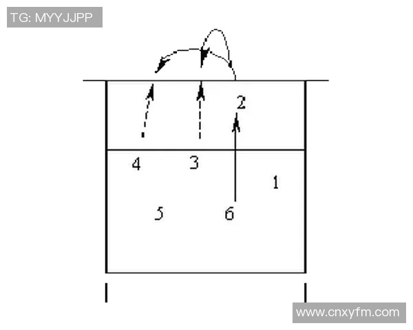 重庆排球队在世界锦标赛中的意识表现与战术分析 重庆排球队在世界锦标赛中的意识表现与战术分析