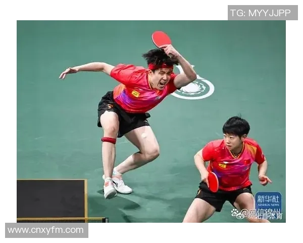 南京羽毛球队在世界杯中的战术表现分析与点评