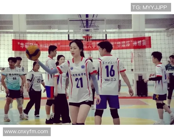 武汉排球队的拼搏之路大师赛背后的奋斗与荣耀