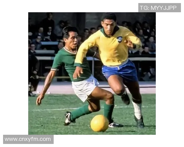日本足球明星全名汇总及其成就回顾与影响分析